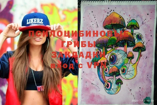 не бодяженный Лабытнанги