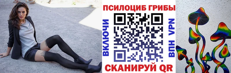 Псилоцибиновые грибы GOLDEN TEACHER  Называевск 